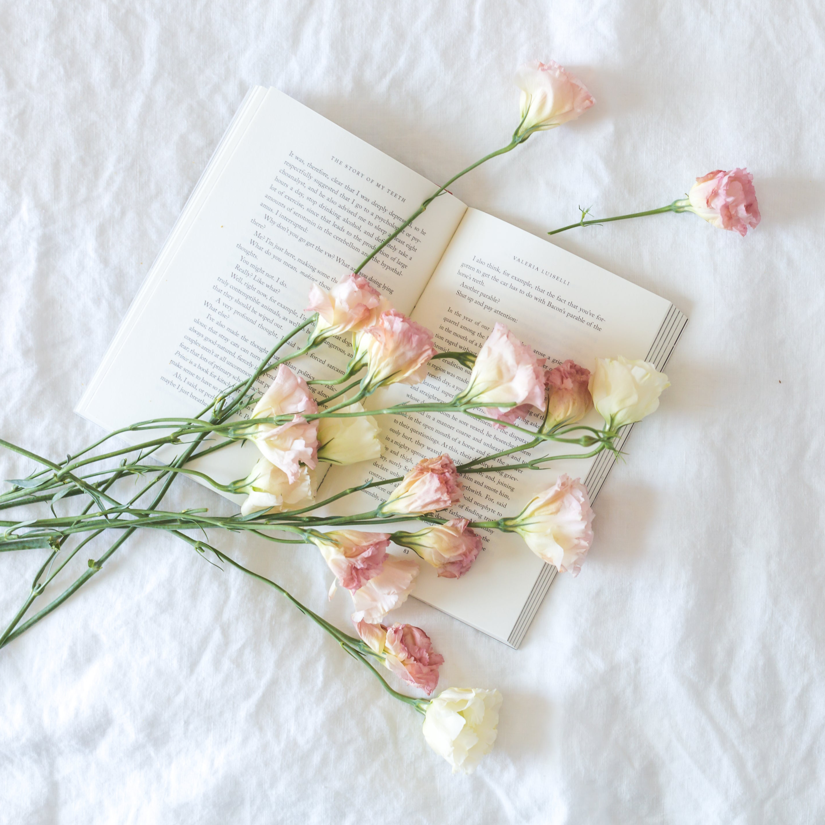 Subscription Roses