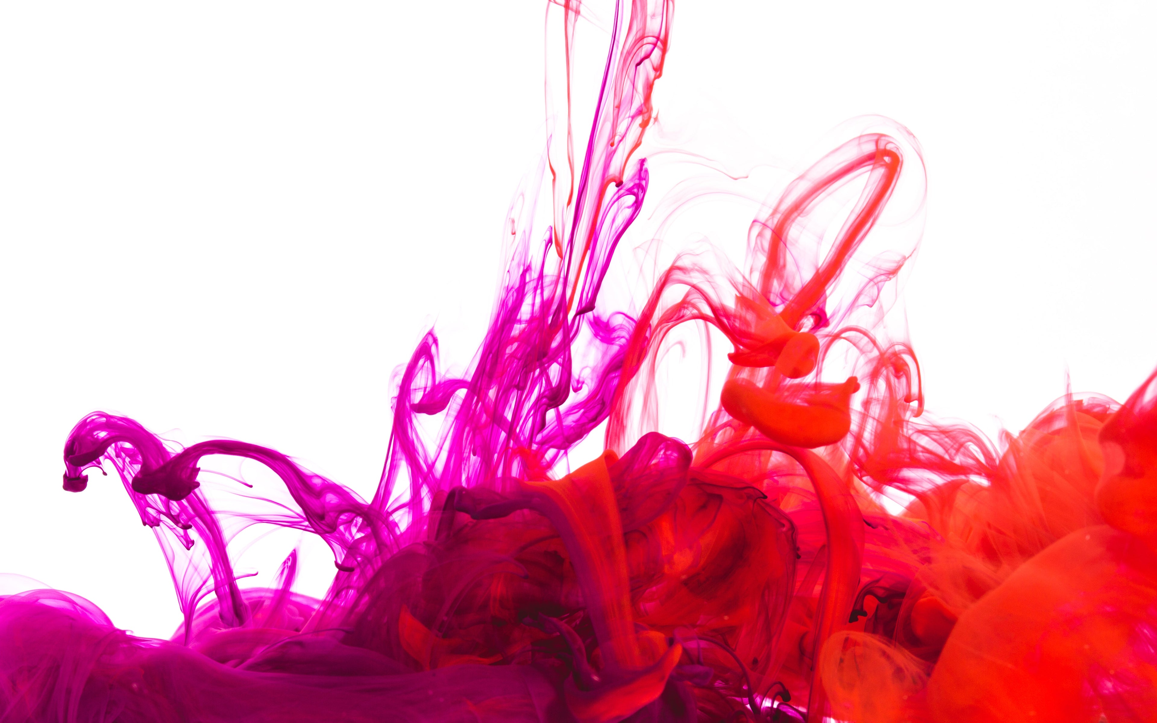 purple-and-red-ink-pool-on-white