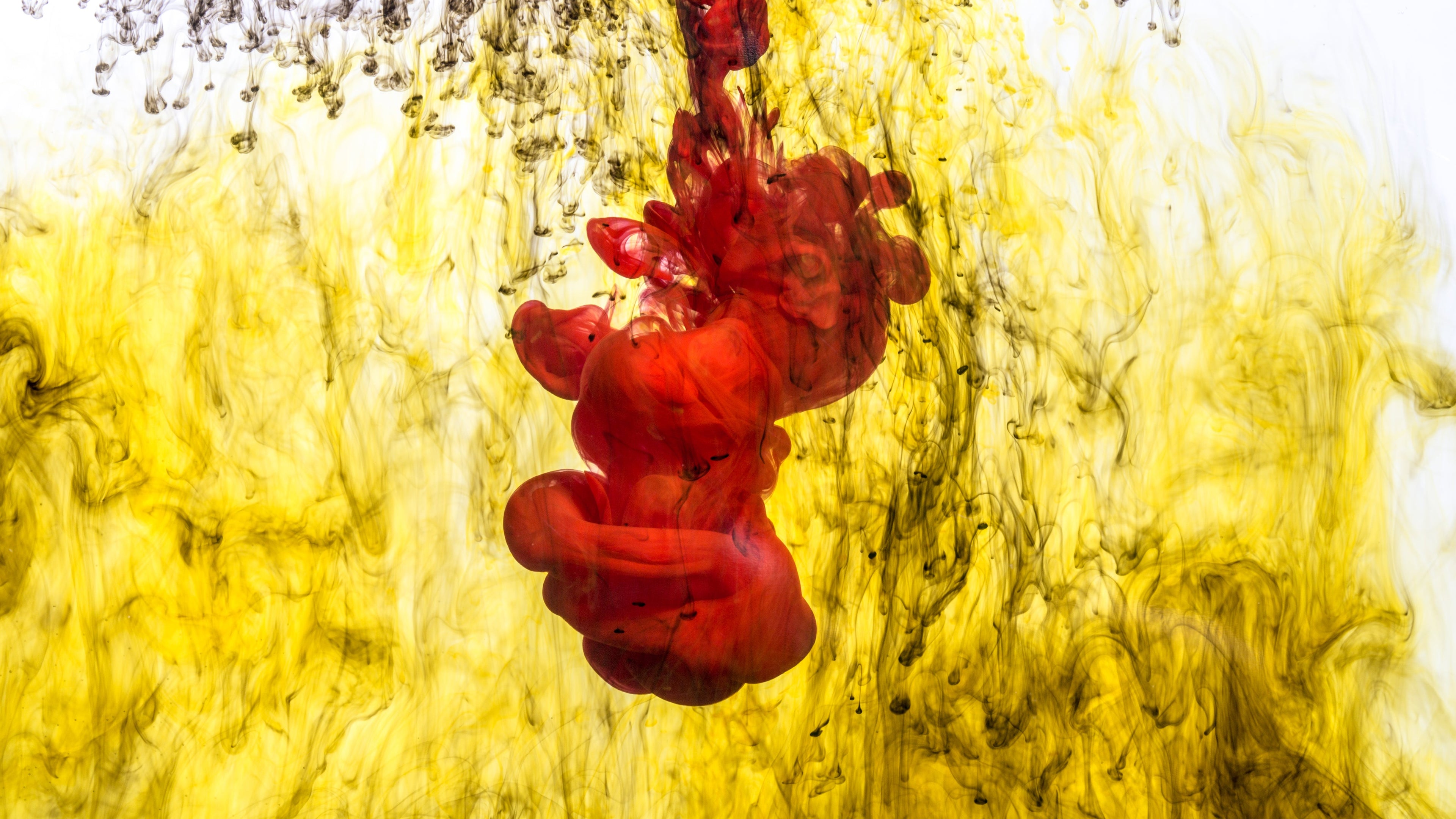 red-ink-drop-in-yellow-liquid