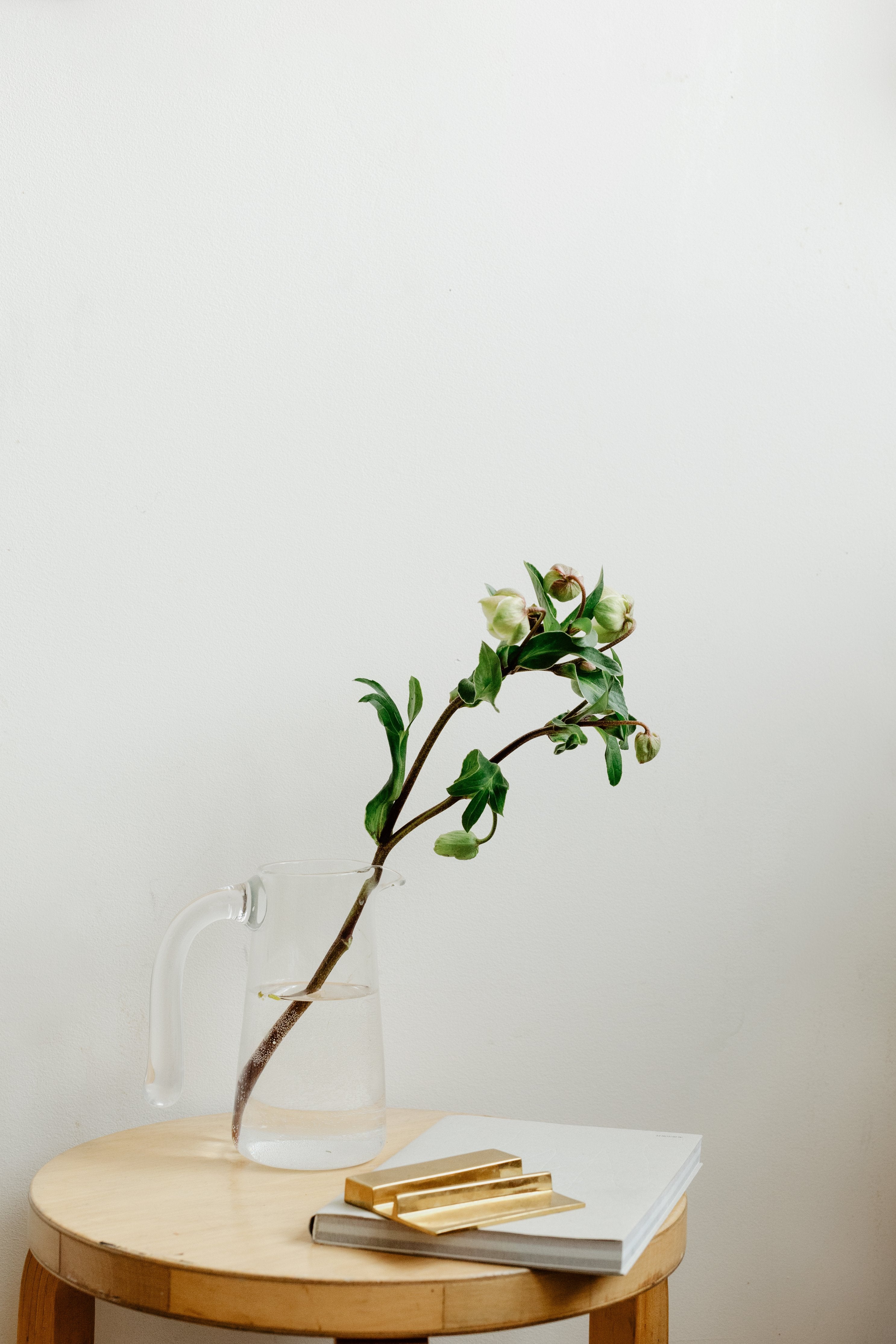 "Stork" Pitcher